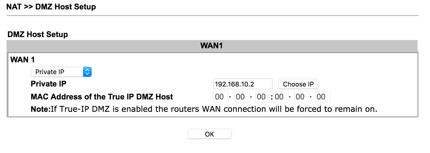 DMZ_host.jpeg