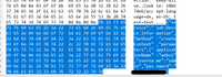 Wireshark Analyse des POST-Bodys