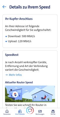 Screenshot_20231102_195235_My Swisscom.jpg
